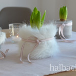 DIY-Idee halbachblog: erster Frühling mit Hyazinthen mit Fellhülle und Bandschmuck