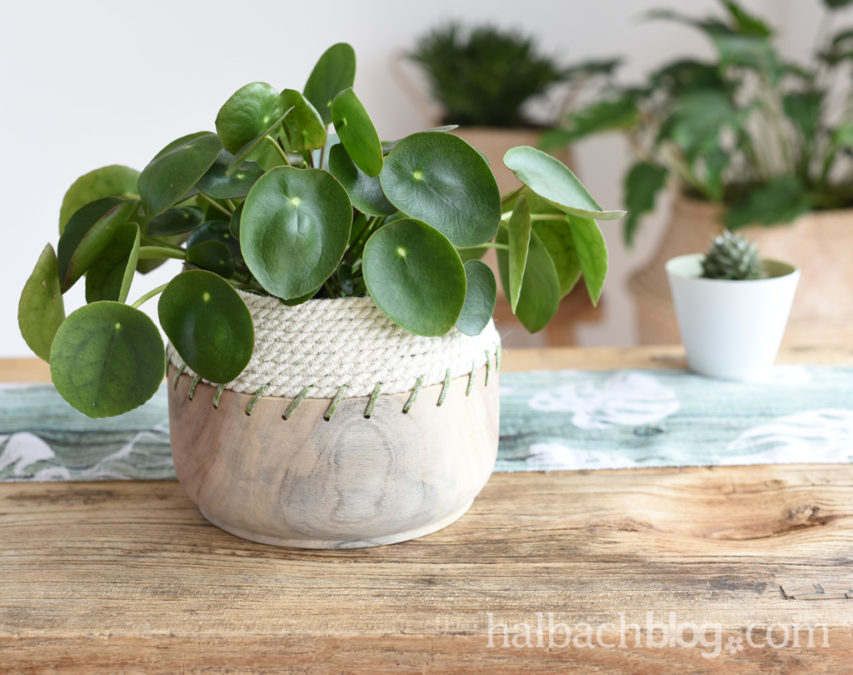 Natural Look: Jute Rope Bowl